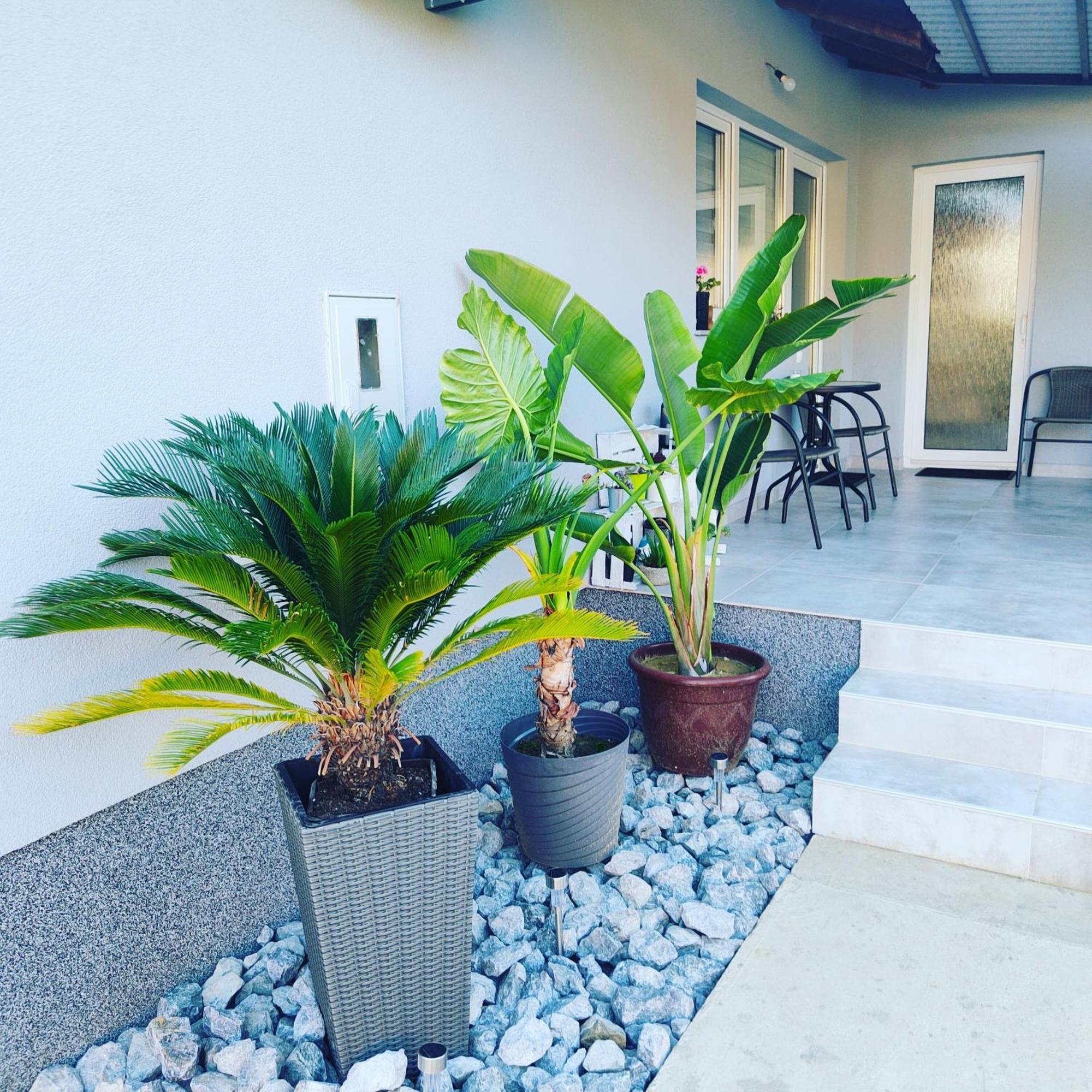 Apartmani Sun & Moon Bjelovar Eksteriør bilde